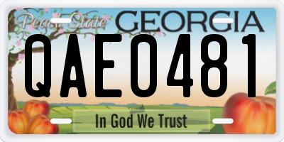 GA license plate QAE0481
