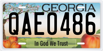 GA license plate QAE0486