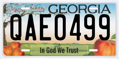 GA license plate QAE0499