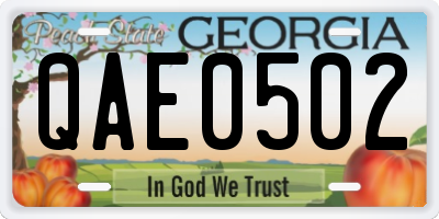 GA license plate QAE0502