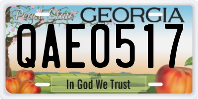 GA license plate QAE0517