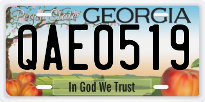 GA license plate QAE0519