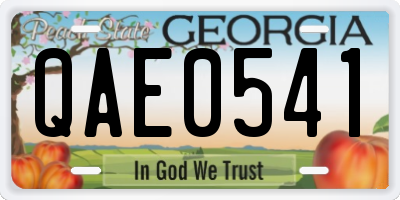 GA license plate QAE0541