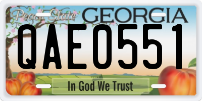 GA license plate QAE0551
