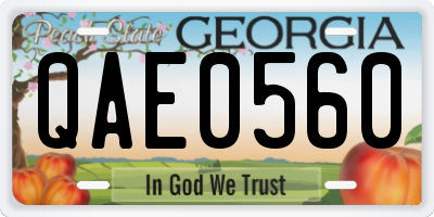 GA license plate QAE0560