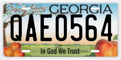 GA license plate QAE0564