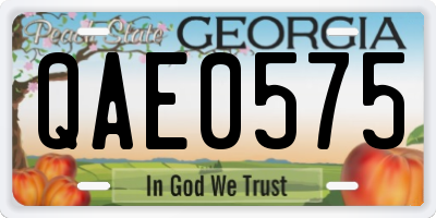 GA license plate QAE0575