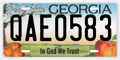 GA license plate QAE0583