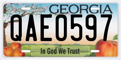 GA license plate QAE0597