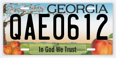 GA license plate QAE0612