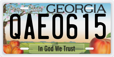 GA license plate QAE0615