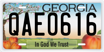 GA license plate QAE0616