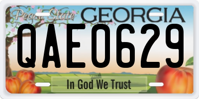 GA license plate QAE0629