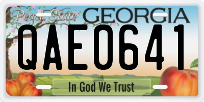 GA license plate QAE0641