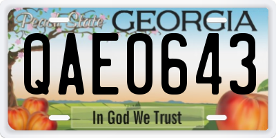 GA license plate QAE0643