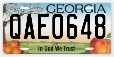 GA license plate QAE0648