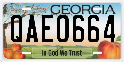GA license plate QAE0664