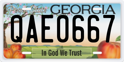 GA license plate QAE0667