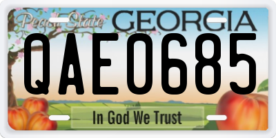 GA license plate QAE0685