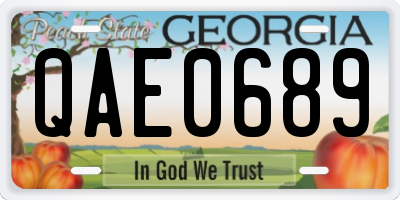GA license plate QAE0689