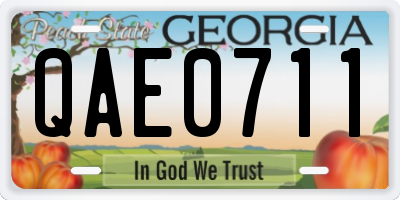 GA license plate QAE0711