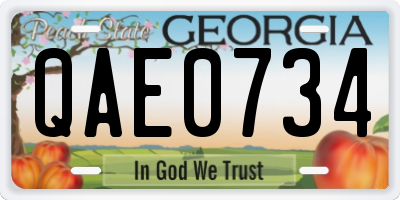 GA license plate QAE0734