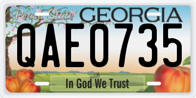 GA license plate QAE0735