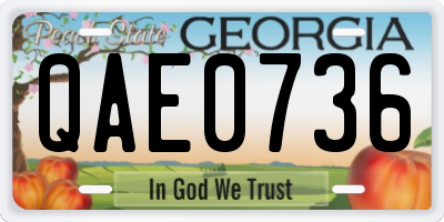 GA license plate QAE0736