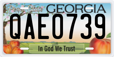GA license plate QAE0739