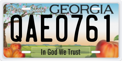 GA license plate QAE0761