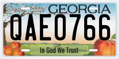 GA license plate QAE0766