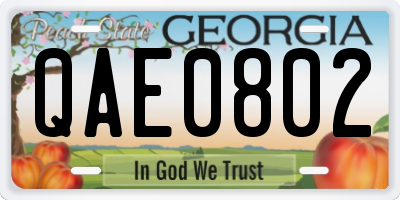 GA license plate QAE0802