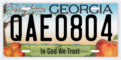 GA license plate QAE0804