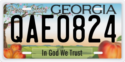 GA license plate QAE0824