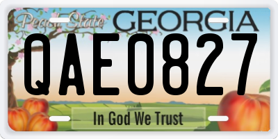 GA license plate QAE0827