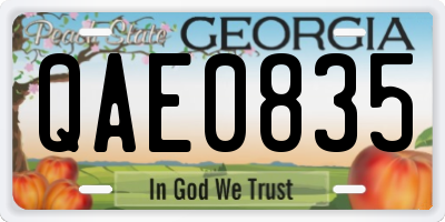 GA license plate QAE0835