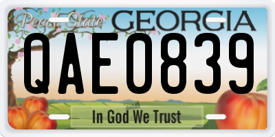 GA license plate QAE0839