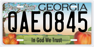 GA license plate QAE0845