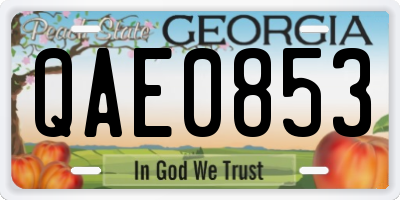 GA license plate QAE0853