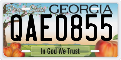 GA license plate QAE0855