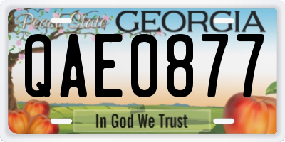 GA license plate QAE0877