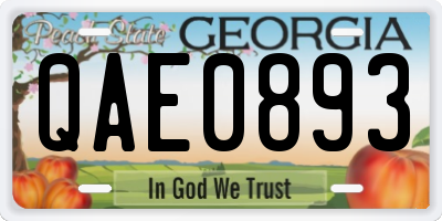 GA license plate QAE0893
