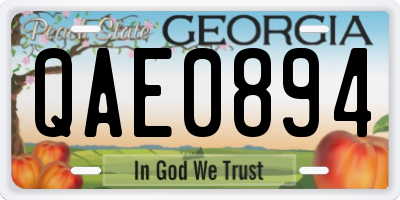 GA license plate QAE0894