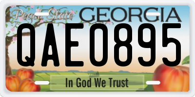 GA license plate QAE0895