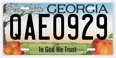GA license plate QAE0929