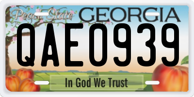 GA license plate QAE0939