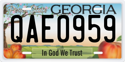 GA license plate QAE0959