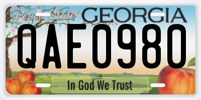GA license plate QAE0980