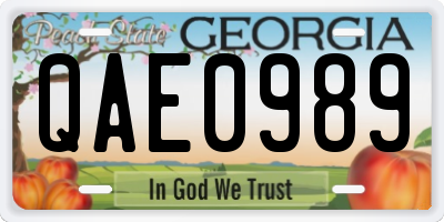 GA license plate QAE0989