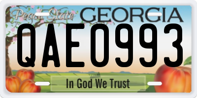 GA license plate QAE0993